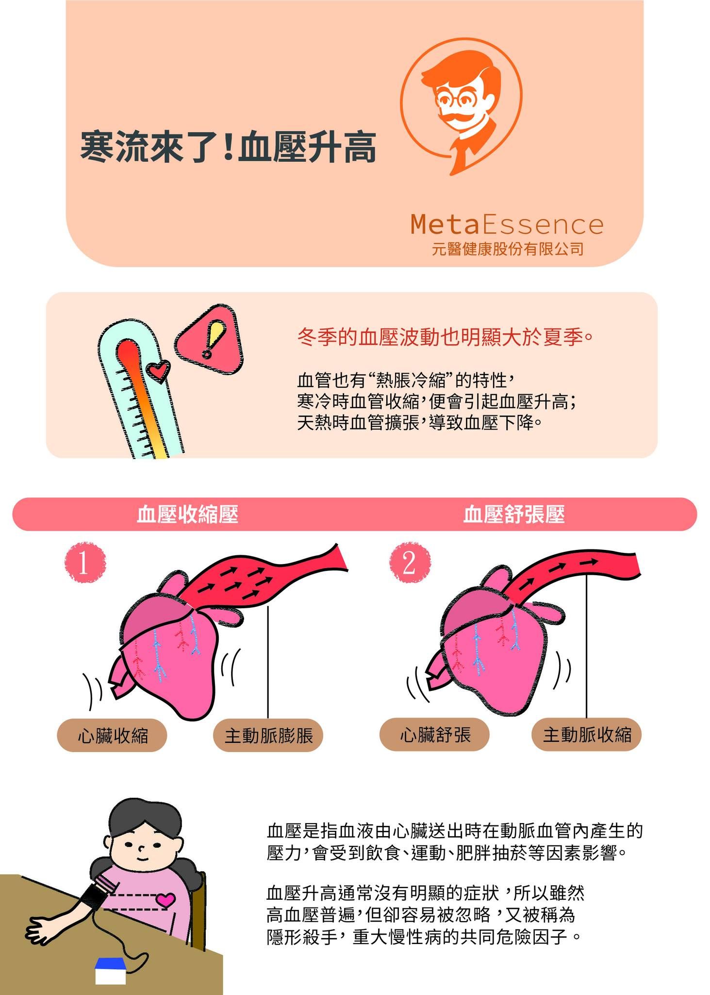 心臟的工作週期